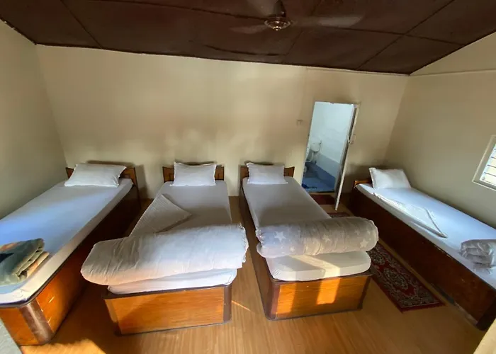 Nature Safari Camp