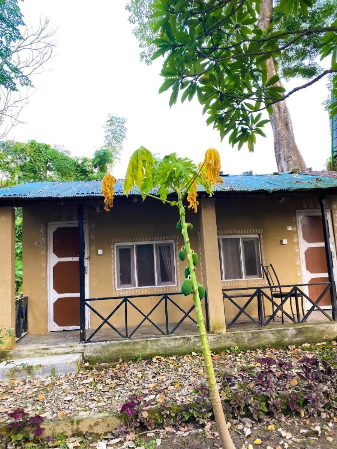 Nature Safari Camp *
